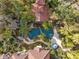 Lush backyard oasis with a resort-style pool, landscaping, and serene waterfalls at 9291 Point Cypress Dr, Orlando, FL 32836