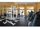 Well-equipped gym with treadmills, weights, and other exercise machines at 10144 Lake Miona Way, Oxford, FL 34484