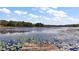 Scenic view of the lake from the dock and dock access, showcasing waterfront recreation at 13201 Plum Lake Cir, Minneola, FL 34715