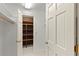 Walk-in cedar closet with built-in shelving and a light for organized storage at 1355 S Summerlin Ave, Orlando, FL 32806