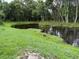 Scenic view of a lush green pond with natural landscaping and mature trees surrounding the water at 322 N Shadowbay Blvd, Longwood, FL 32779