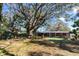 Expansive backyard featuring a mature tree and a screened-in patio area, perfect for outdoor entertaining and relaxation at 403 Louis St, Leesburg, FL 34748