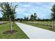 A long, level walking path is flanked by new sod, young trees, and landscaping at 4294 Campsite Loop, Orlando, FL 32824