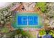 Overhead view of a well-maintained community tennis court, surrounded by trees and greenery at 644 Strihal Loop, Oakland, FL 34787