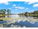 Scenic lake view with lily pads and reflections of the sky with picturesque trees and houses on the shoreline at 7496 Lake Marsha Dr, Orlando, FL 32819