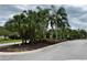 Community entrance featuring lush tropical landscaping, palms, and gated access at 8237 Serenity Spring Dr # 2605, Windermere, FL 34786