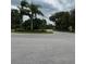 Scenic neighborhood street featuring lush landscaping and mature trees under a cloudy sky at 8237 Serenity Spring Dr # 2605, Windermere, FL 34786