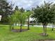 Scenic view of a tranquil pond surrounded by lush greenery and mature trees, offering a serene ambiance at 8237 Serenity Spring Dr # 2605, Windermere, FL 34786