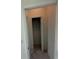 This walk-in closet offers plenty of storage and organization space at 1006 India St, Haines City, FL 33844