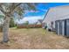 Spacious backyard with mature tree, providing shade and privacy at 1047 Bluegrass Dr, Groveland, FL 34736