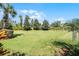 Expansive backyard featuring lush green grass and mature landscaping offering privacy and natural beauty at 11716 Astilbe Dr, Orlando, FL 32827