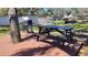 Outdoor living space with picnic table and BBQ grill great for gatherings and outdoor meals at 11801 Lake Susan Ct, Clermont, FL 34711