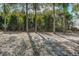 View of treed and wooded backyard showing a private setting with natural landscape at 1433 Ne Old Mill Dr, Deltona, FL 32725