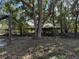 Mature trees shading an expansive backyard with greenery and grass under a blue sky at 2429 S Elm Ave, Sanford, FL 32771