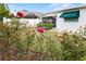 Backyard rose garden with lush flowers, maintained lawn, and the backdrop of the home's exterior at 625 Brechin Dr, Winter Park, FL 32792