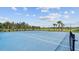 Well-maintained community tennis court surrounded by lush landscaping and palm trees at 9752 Petition Way, Orlando, FL 32832