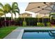 Inviting pool surrounded by lush greenery, palm trees, and a black metal fence at 16249 Taliesin St, Winter Garden, FL 34787