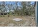Serene backyard featuring mature trees, seating, and a concrete slab for outdoor enjoyment at 255 Butterfly Forest Rd, Geneva, FL 32732