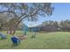 Spacious backyard features a fire pit and a view of the screened in pool at 255 Butterfly Forest Rd, Geneva, FL 32732
