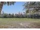 Expansive lawn surrounded by a natural tree line at 255 Butterfly Forest Rd, Geneva, FL 32732