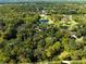 Expansive aerial view showcasing the lush landscape and pond at 1780 Old Mission Rd, Edgewater, FL 32132