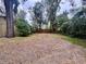 Large backyard with mature trees, offering privacy and potential for outdoor activities at 115 S Lake Pleasant Rd, Apopka, FL 32703