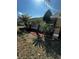 Front yard with lush landscaping, including mulch beds, palms and yellow flowering bushes at 121 Loma Bonita Dr, Davenport, FL 33837