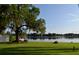 Lush backyard with a large tree overlooking a serene lake, perfect for outdoor relaxation at 3045 Cecelia Dr, Apopka, FL 32703