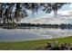 Scenic lake view framed by lush greenery, offering tranquility and natural beauty at 3045 Cecelia Dr, Apopka, FL 32703