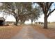 Long driveway flanked by mature trees, leading to a property with multiple outbuildings and open spaces at 9130 Laws Rd, Clermont, FL 34714