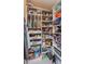 Organized walk-in pantry with custom shelving, labeled containers, and ample storage space at 2157 Bay Line Rd, Oakland, FL 34787