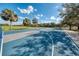 Outdoor blue basketball court featuring white lines, hoops, and surrounding trees, ideal for sports activities at 8042 Tompkins Sq, Orlando, FL 32807