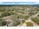 Expansive aerial view of a lush neighborhood with mature trees and the ocean visible in the distance at 850 Rosalia Dr, Sanford, FL 32771