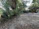 View of lot showing tree coverage, foliage, and debris on the ground at 220 Palm Ave, Auburndale, FL 33823