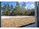 View of the home's backyard, featuring trees and partial grass at 41975 Aspen St, Eustis, FL 32736