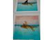 Unique wall art featuring playful underwater scenes with goldfish wearing whimsical accessories at 4289 Prologue Way, Kissimmee, FL 34746