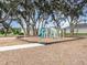 Community playground surrounded by mulch and mature shade trees at 515 Darshire Ave, Eustis, FL 32736