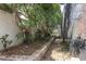 Narrow walkway with stone pavers leading to the back of the house, surrounded by lush greenery at 8218 Borgia Ct, Orlando, FL 32836