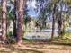 Scenic backyard view with a tranquil lake, lush trees, and seating for nature appreciation at 3471 Whitner Way, Sanford, FL 32773