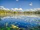 Expansive lake view showcasing lily pads and lush greenery under a sunny sky with scattered clouds at 3471 Whitner Way, Sanford, FL 32773