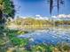 Serene lake view with lily pads and trees, offering a peaceful and scenic backdrop at 3471 Whitner Way, Sanford, FL 32773