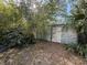 Exterior of shed, with mature vegetation surrounding the structure at 1348 Cr 605, Bushnell, FL 33513