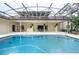 Stunning screened-in pool with covered patio, outdoor bar, and lush tropical surroundings at 398 Pine Tree Rd, Lake Mary, FL 32746