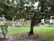 View of the community area with landscaping and pool at 586 Orange Dr # 114, Altamonte Springs, FL 32701