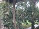 Exterior view featuring lush trees and landscaping at 586 Orange Dr # 114, Altamonte Springs, FL 32701