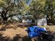 Spacious backyard with mature trees and a shed, creating a private outdoor space at 9350 2Nd Ave, Orlando, FL 32824