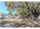 Backyard with a fence and mature tree, providing a private outdoor space with ample shade and room at 9350 2Nd Ave, Orlando, FL 32824