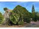 View of the home's front yard showcasing a trimmed tree and landscaped surroundings at 3336 Pell Mell Dr, Orlando, FL 32818