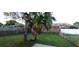 The backyard is a green space surrounded by wood and chain link fences and punctuated by small palm trees at 5843 Willow Leaf Ct, Orlando, FL 32807