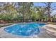 Inviting backyard pool with blue tile accents and a spacious concrete deck at 7448 Grand Ct, Winter Park, FL 32792